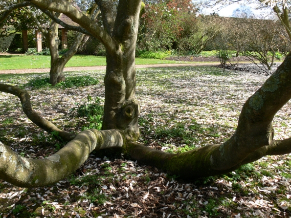 Bois des Moutiers (39) avril 2012